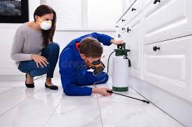 Real Estate Pest Inspections in Buna, TX